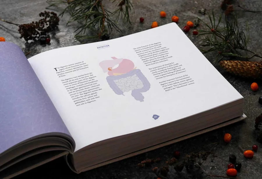 A nutrition spread from Biohacker's Handbook