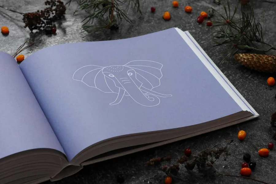 A sleep spread from Biohacker's Handbook