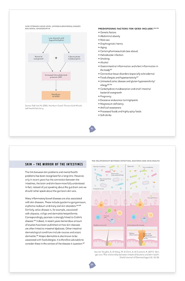 An interior spread from Gut Mastery: an illustrated map of the digestive tract