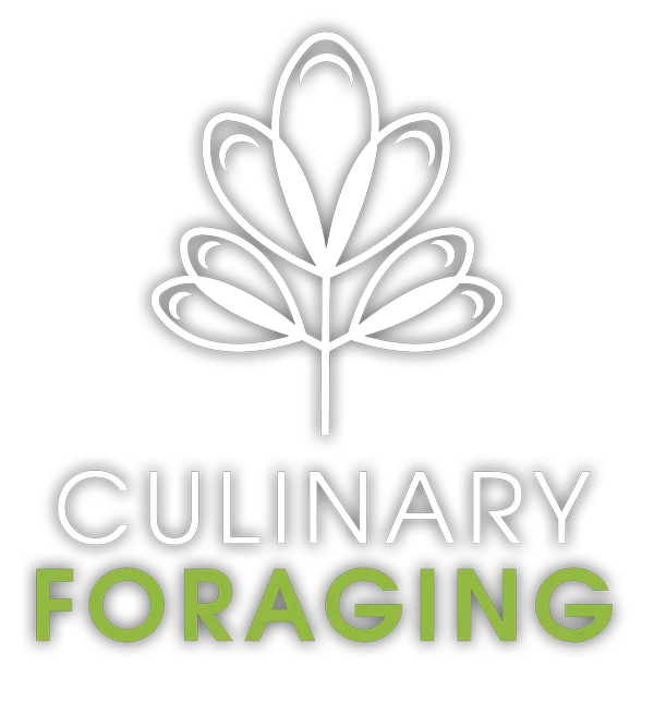 culinary-foraging-logo-final-dropshadow.png