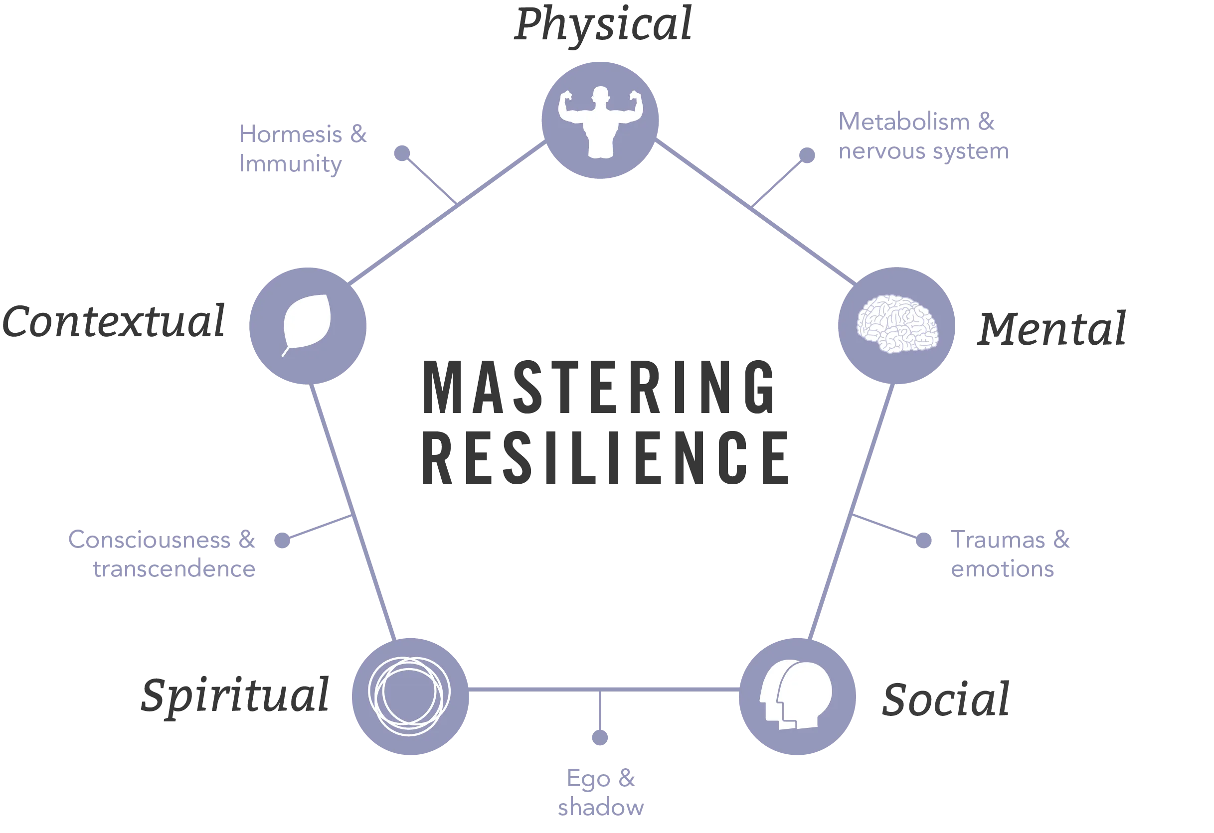 mastering_resilience.png