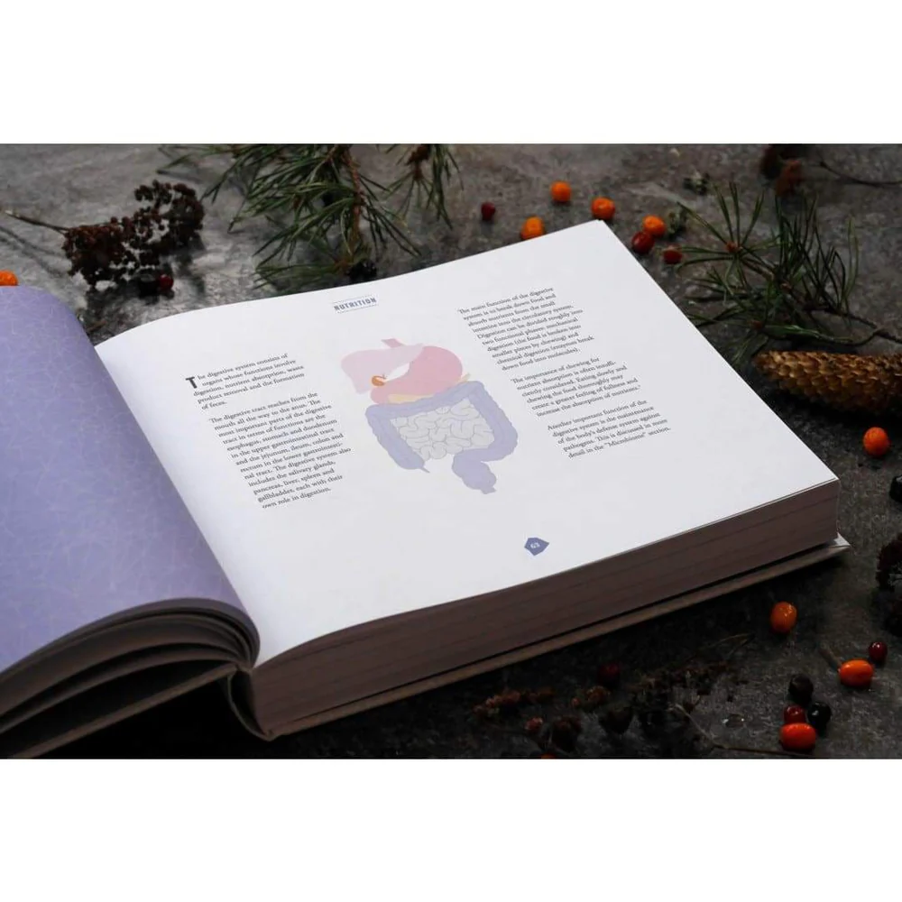 biohackers-handbook-upgrade-yourself-unleash-inner-potential-hardcover-biohacker-341.webp