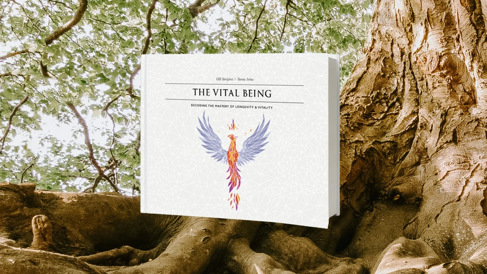 Vitality promo 2025.jpg