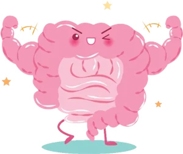 Illustration of a happy gut