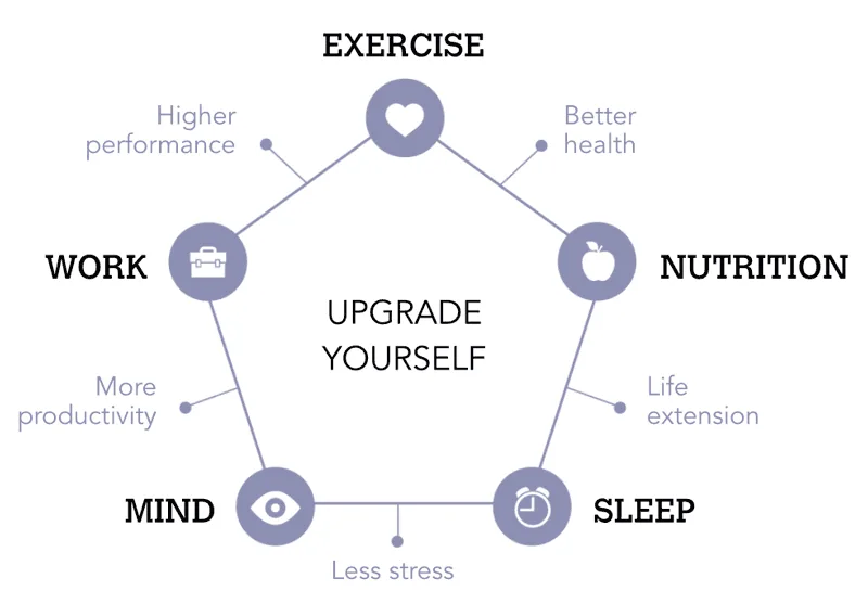 The five elements of biohacking arranged in a pentagon: exercise, nutrition, sleep, mind and work, all pointing at upgrade yourself