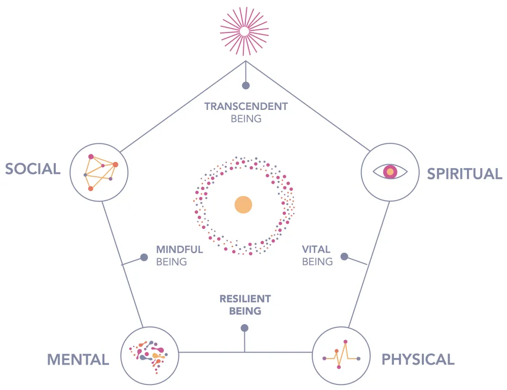 The HOLOLIFE framework, showing how resilience fits into whole-system human optimization